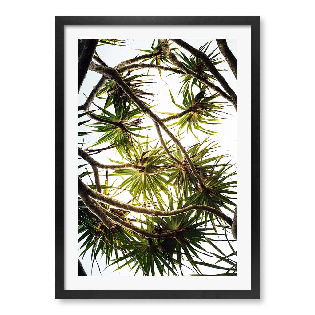 Noosa Palms Wall Art Print A2 (42 x 59.4cm) / Matte Black Frame / White Border from our Australian Made Framed Wall Art, Prints & Posters collection by Profile Products (Australia) Pty Ltd