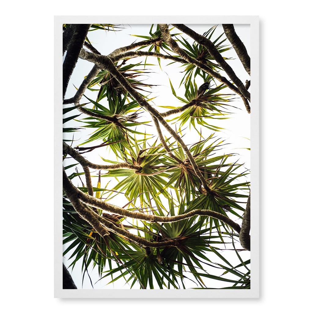 Noosa Palms Wall Art Print A2 (42 x 59.4cm) / Matte White Frame / No Border from our Australian Made Framed Wall Art, Prints & Posters collection by Profile Products (Australia) Pty Ltd