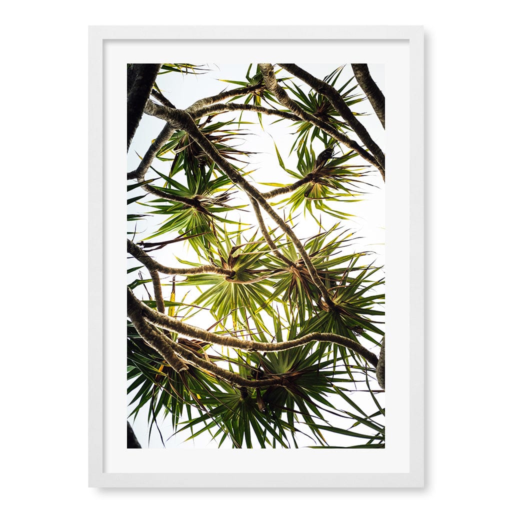Noosa Palms Wall Art Print A2 (42 x 59.4cm) / Matte White Frame / White Border from our Australian Made Framed Wall Art, Prints & Posters collection by Profile Products (Australia) Pty Ltd
