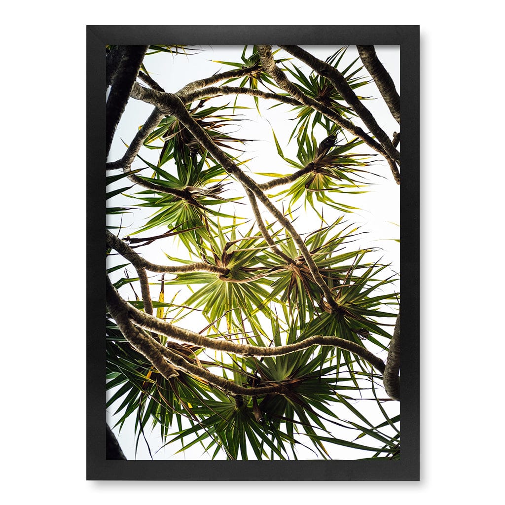 Noosa Palms Wall Art Print A3 (29.7 x 42cm) / Matte Black Frame / No Border from our Australian Made Framed Wall Art, Prints & Posters collection by Profile Products (Australia) Pty Ltd
