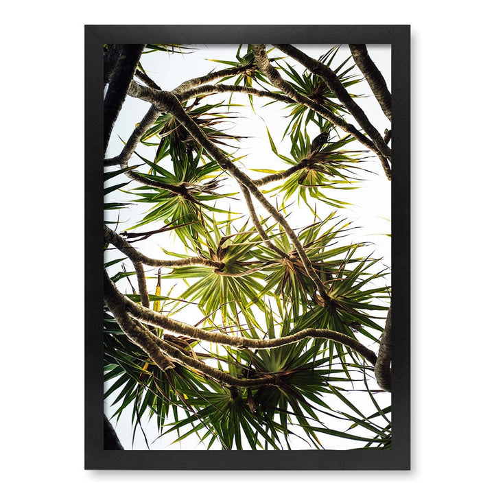 Noosa Palms Wall Art Print A3 (29.7 x 42cm) / Matte Black Frame / No Border from our Australian Made Framed Wall Art, Prints & Posters collection by Profile Products (Australia) Pty Ltd