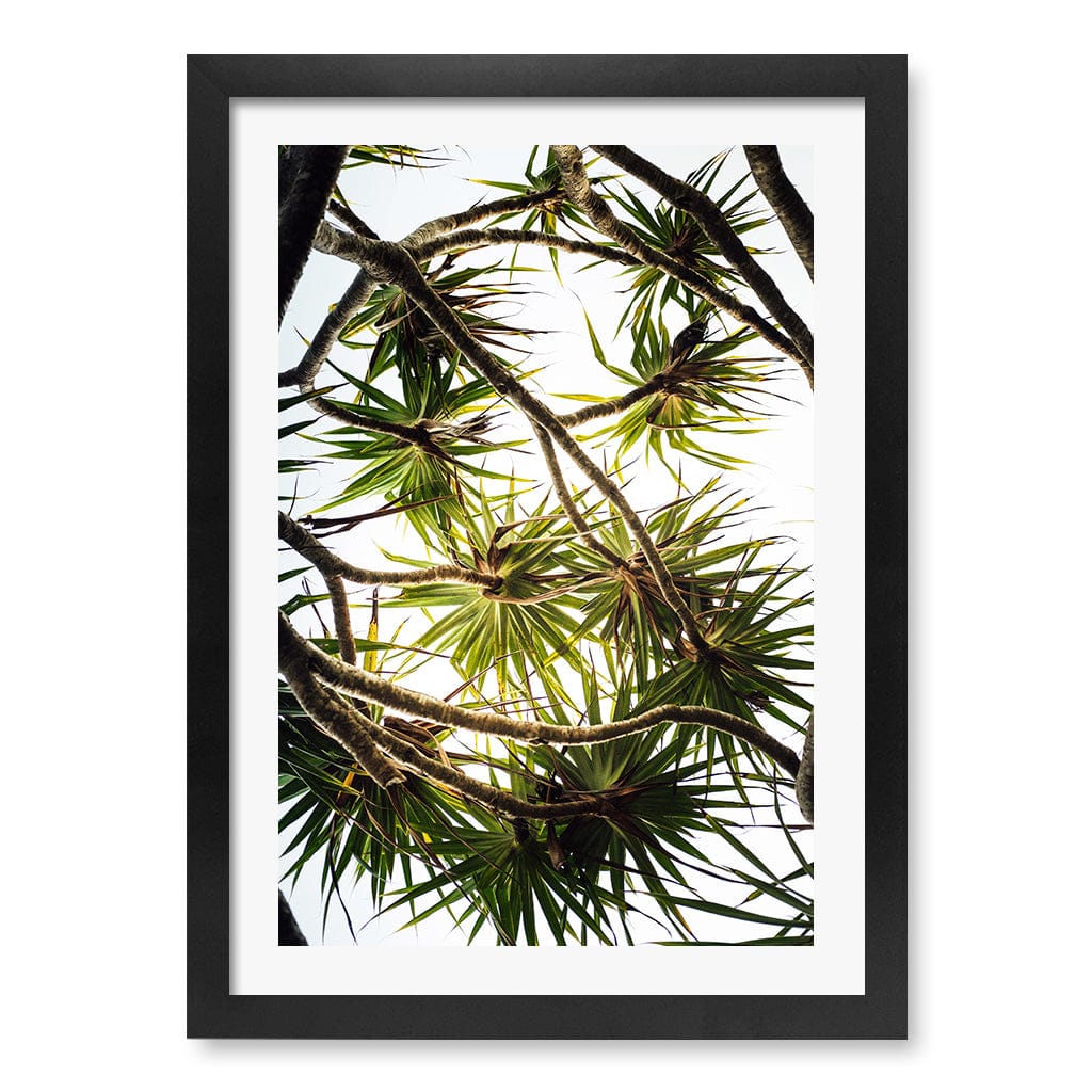 Noosa Palms Wall Art Print A3 (29.7 x 42cm) / Matte Black Frame / White Border from our Australian Made Framed Wall Art, Prints & Posters collection by Profile Products (Australia) Pty Ltd