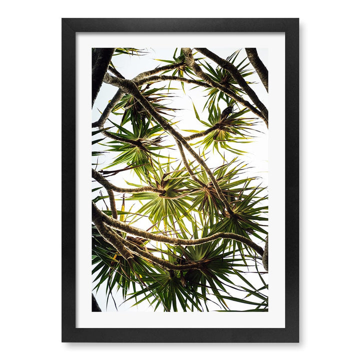 Noosa Palms Wall Art Print A3 (29.7 x 42cm) / Matte Black Frame / White Border from our Australian Made Framed Wall Art, Prints & Posters collection by Profile Products (Australia) Pty Ltd