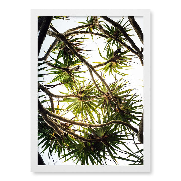 Noosa Palms Wall Art Print A3 (29.7 x 42cm) / Matte White Frame / No Border from our Australian Made Framed Wall Art, Prints & Posters collection by Profile Products (Australia) Pty Ltd
