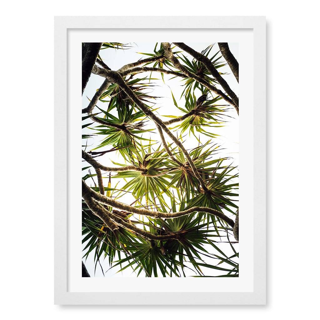 Noosa Palms Wall Art Print A3 (29.7 x 42cm) / Matte White Frame / White Border from our Australian Made Framed Wall Art, Prints & Posters collection by Profile Products (Australia) Pty Ltd