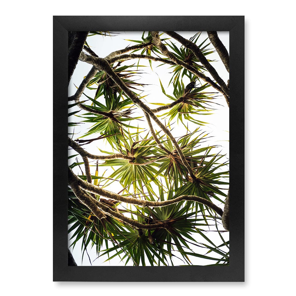 Noosa Palms Wall Art Print A4 (21 x 29.7cm) / Matte Black Frame / No Border from our Australian Made Framed Wall Art, Prints & Posters collection by Profile Products (Australia) Pty Ltd
