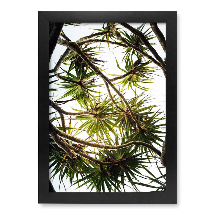 Noosa Palms Wall Art Print A4 (21 x 29.7cm) / Matte Black Frame / No Border from our Australian Made Framed Wall Art, Prints & Posters collection by Profile Products (Australia) Pty Ltd