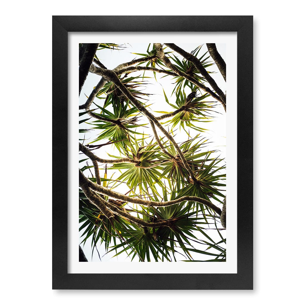 Noosa Palms Wall Art Print A4 (21 x 29.7cm) / Matte Black Frame / White Border from our Australian Made Framed Wall Art, Prints & Posters collection by Profile Products (Australia) Pty Ltd