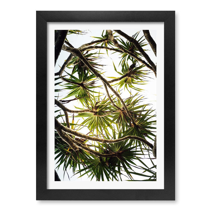 Noosa Palms Wall Art Print A4 (21 x 29.7cm) / Matte Black Frame / White Border from our Australian Made Framed Wall Art, Prints & Posters collection by Profile Products (Australia) Pty Ltd