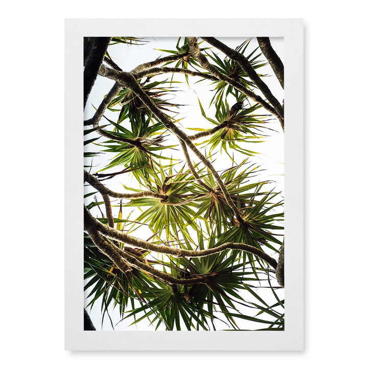 Noosa Palms Wall Art Print A4 (21 x 29.7cm) / Matte White Frame / No Border from our Australian Made Framed Wall Art, Prints & Posters collection by Profile Products (Australia) Pty Ltd