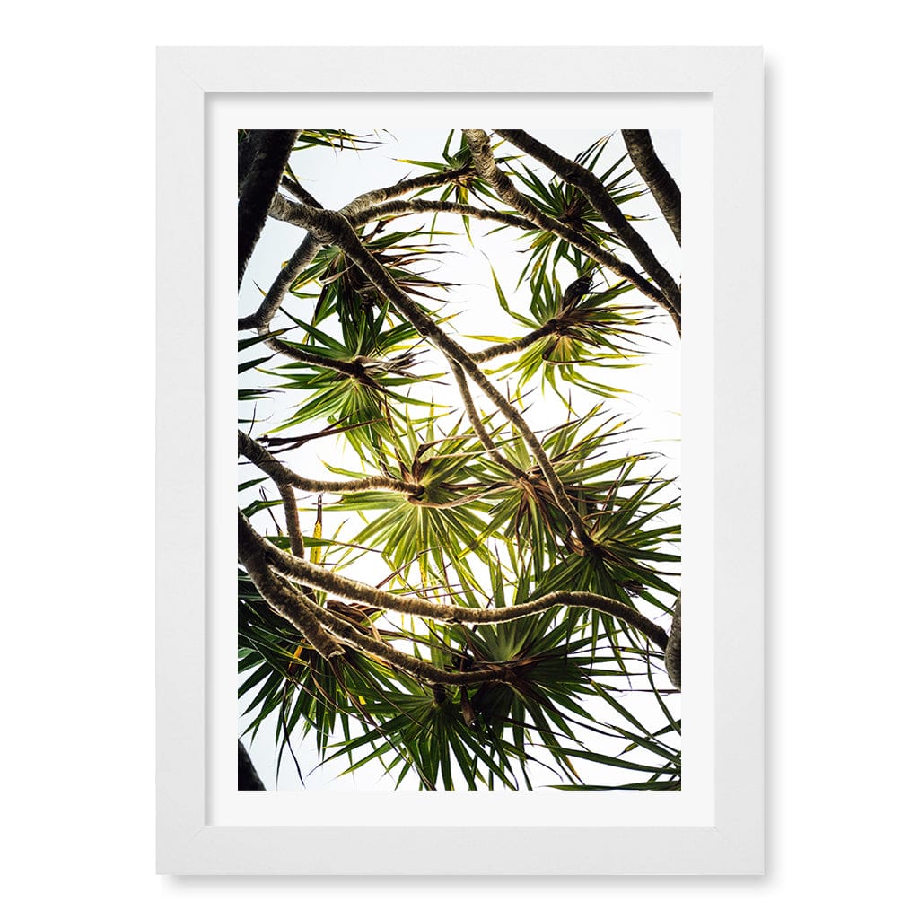 Noosa Palms Wall Art Print A4 (21 x 29.7cm) / Matte White Frame / White Border from our Australian Made Framed Wall Art, Prints & Posters collection by Profile Products (Australia) Pty Ltd