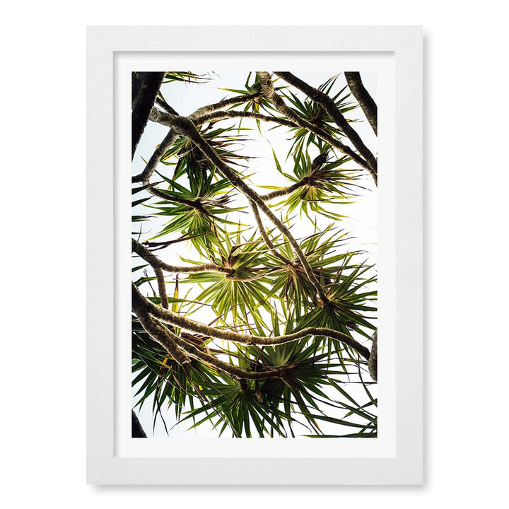Noosa Palms Wall Art Print A4 (21 x 29.7cm) / Matte White Frame / White Border from our Australian Made Framed Wall Art, Prints & Posters collection by Profile Products (Australia) Pty Ltd