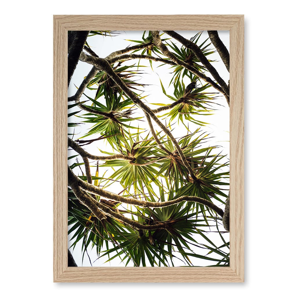 Noosa Palms Wall Art Print A4 (21 x 29.7cm) / Natural Oak Frame / No Border from our Australian Made Framed Wall Art, Prints & Posters collection by Profile Products (Australia) Pty Ltd