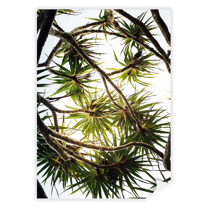 Noosa Palms Wall Art Print A4 (21 x 29.7cm) / Print Only / No Border from our Australian Made Framed Wall Art, Prints & Posters collection by Profile Products (Australia) Pty Ltd