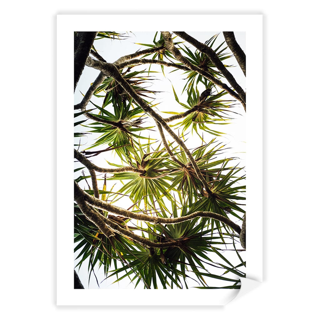 Noosa Palms Wall Art Print A4 (21 x 29.7cm) / Print Only / White Border from our Australian Made Framed Wall Art, Prints & Posters collection by Profile Products (Australia) Pty Ltd