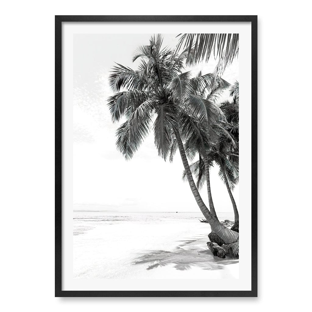 Palm Island Dreams B&W Wall Art Print A1 (59.4 x 84.1cm) / Matte Black Frame / White Border from our Australian Made Framed Wall Art, Prints & Posters collection by Profile Products (Australia) Pty Ltd
