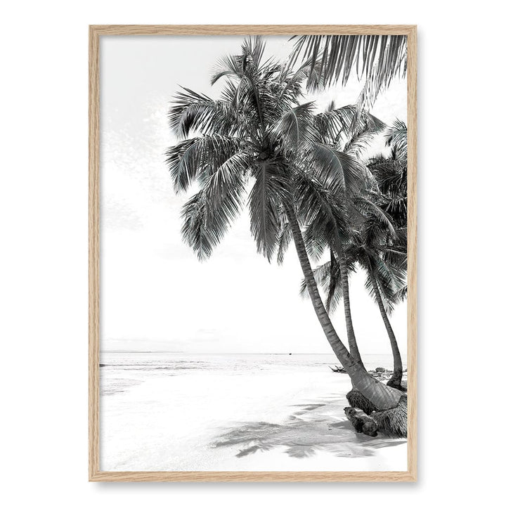 Palm Island Dreams B&W Wall Art Print A1 (59.4 x 84.1cm) / Natural Oak Frame / No Border from our Australian Made Framed Wall Art, Prints & Posters collection by Profile Products (Australia) Pty Ltd