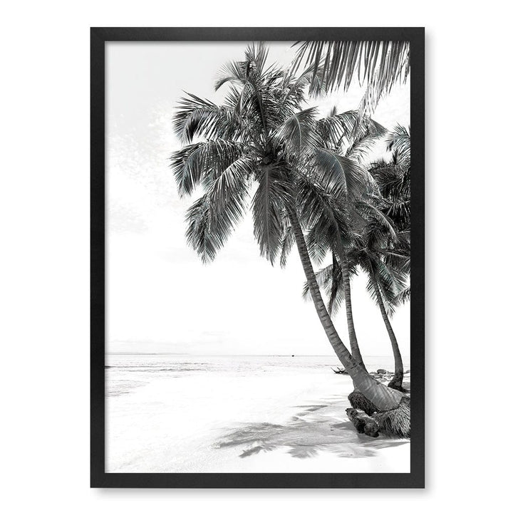 Palm Island Dreams B&W Wall Art Print A2 (42 x 59.4cm) / Matte Black Frame / No Border from our Australian Made Framed Wall Art, Prints & Posters collection by Profile Products (Australia) Pty Ltd