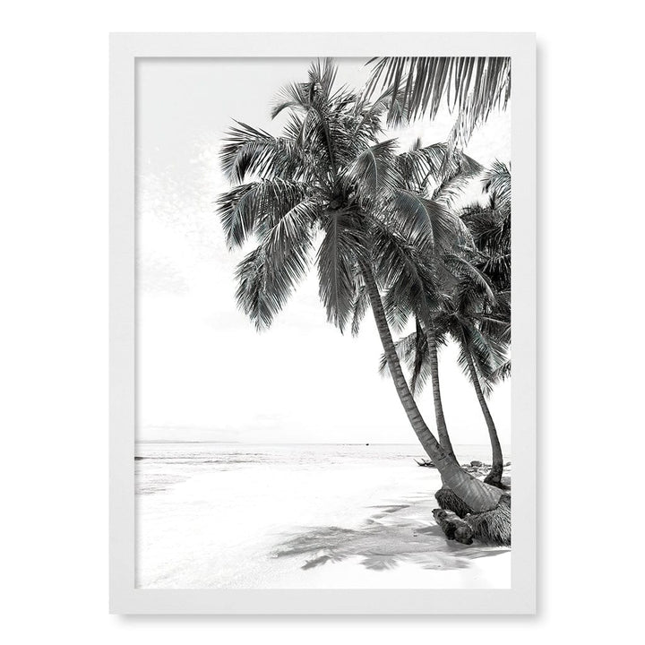 Palm Island Dreams B&W Wall Art Print A3 (29.7 x 42cm) / Matte White Frame / No Border from our Australian Made Framed Wall Art, Prints & Posters collection by Profile Products (Australia) Pty Ltd