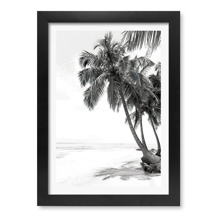 Palm Island Dreams B&W Wall Art Print A4 (21 x 29.7cm) / Matte Black Frame / White Border from our Australian Made Framed Wall Art, Prints & Posters collection by Profile Products (Australia) Pty Ltd
