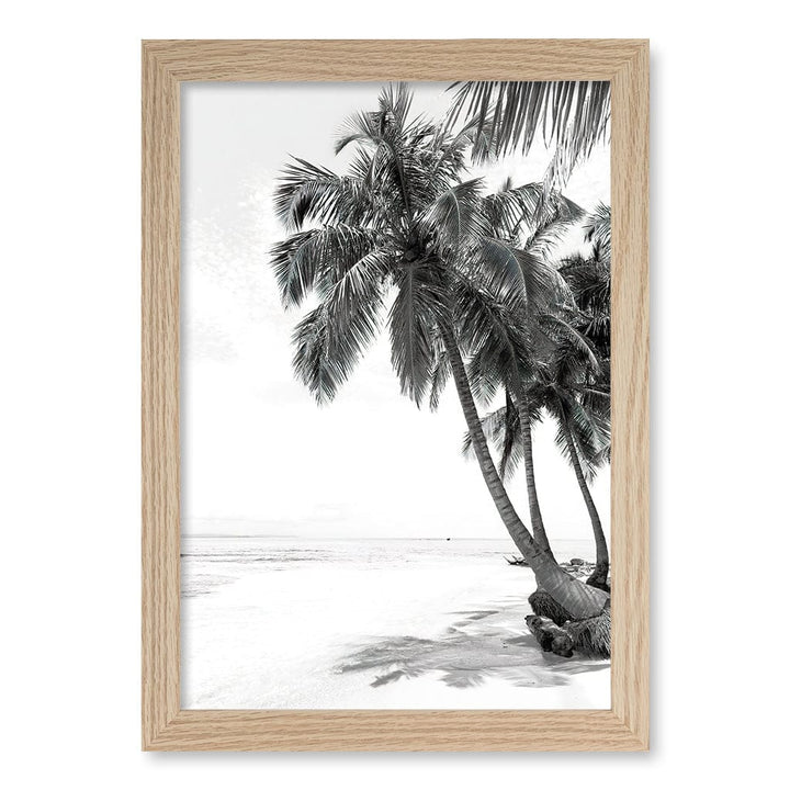 Palm Island Dreams B&W Wall Art Print A4 (21 x 29.7cm) / Natural Oak Frame / No Border from our Australian Made Framed Wall Art, Prints & Posters collection by Profile Products (Australia) Pty Ltd