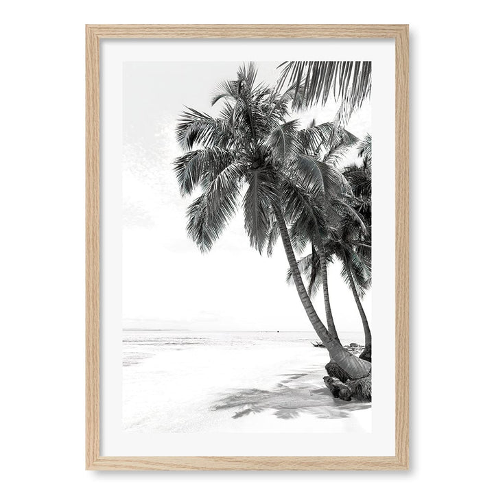 Palm Island Dreams B&W Wall Art Print from our Australian Made Framed Wall Art, Prints & Posters collection by Profile Products (Australia) Pty Ltd