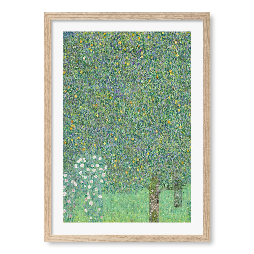 Rosebushes - Gustav Klimt Art Print A2 (42 x 59.4cm) / Natural Oak Frame / White Border from our Australian Made Wall Art collection by Profile Australia