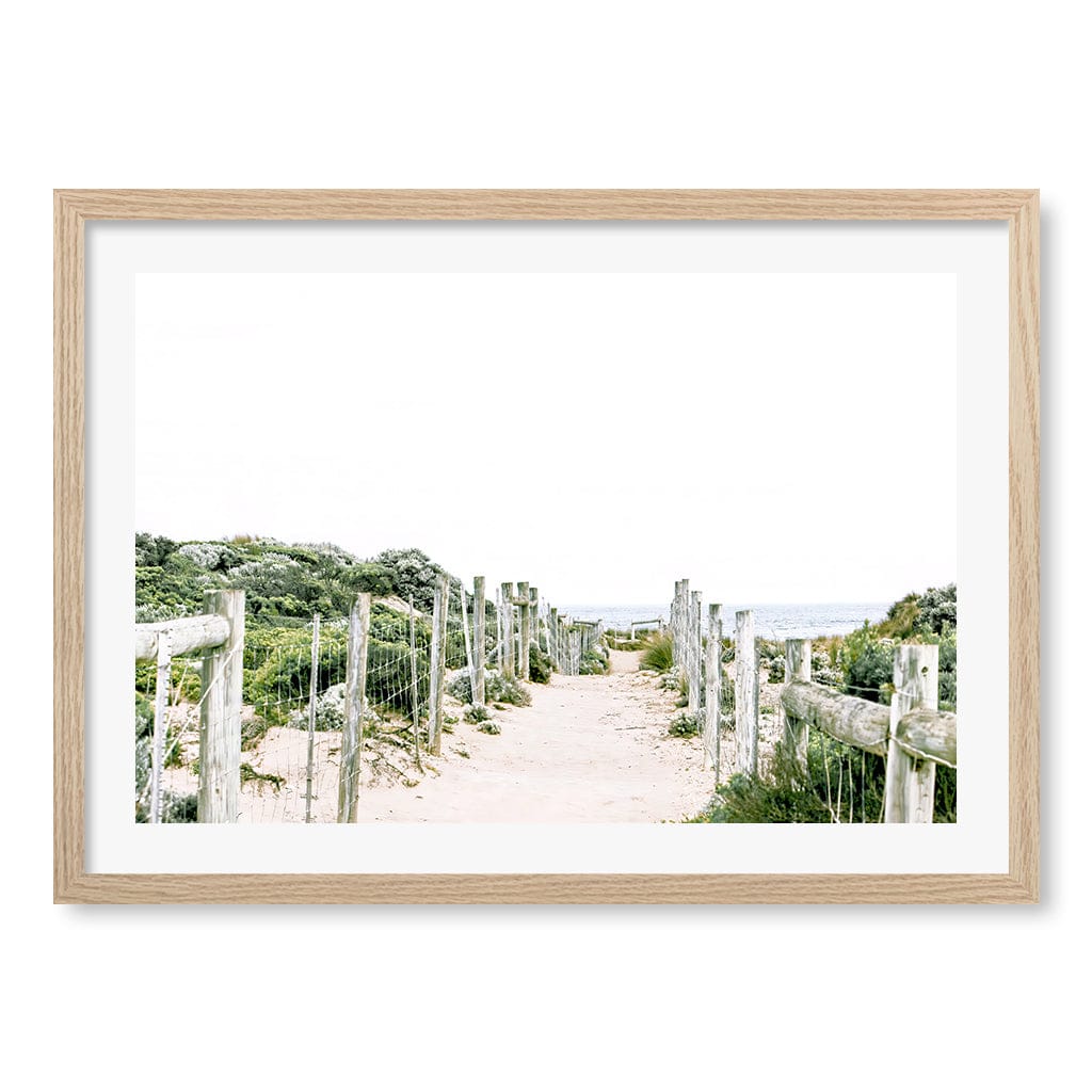 Sandy Path 1 Wall Art Print A2 (42 x 59.4cm) / Natural Oak Frame / White Border from our Australian Made Framed Wall Art, Prints & Posters collection by Profile Products (Australia) Pty Ltd