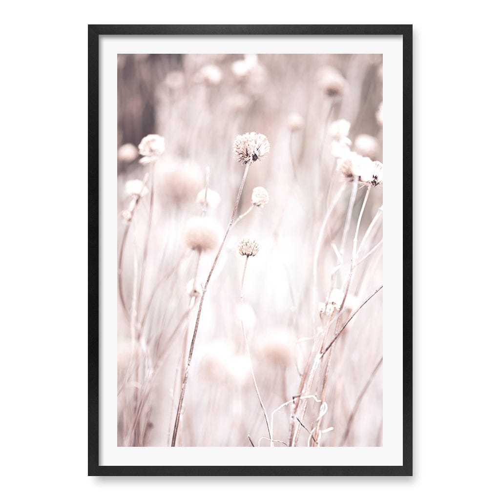 Soft Tone Grass Wall Art Print A1 (59.4 x 84.1cm) / Matte Black Frame / White Border from our Australian Made Framed Wall Art, Prints & Posters collection by Profile Products (Australia) Pty Ltd