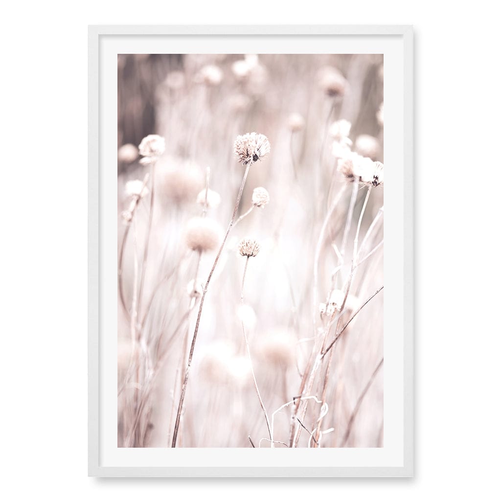 Soft Tone Grass Wall Art Print A1 (59.4 x 84.1cm) / Matte White Frame / White Border from our Australian Made Framed Wall Art, Prints & Posters collection by Profile Products (Australia) Pty Ltd