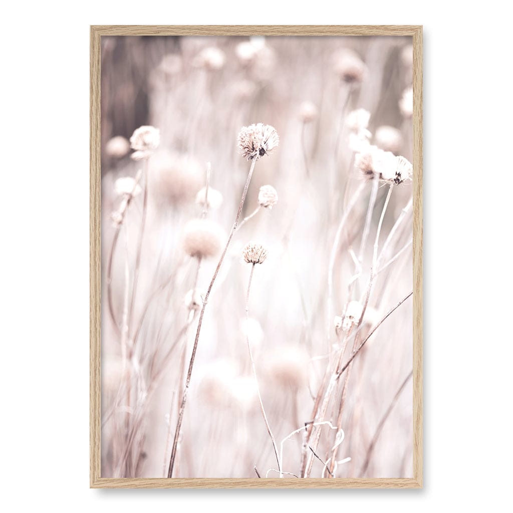 Soft Tone Grass Wall Art Print A1 (59.4 x 84.1cm) / Natural Oak Frame / No Border from our Australian Made Framed Wall Art, Prints & Posters collection by Profile Products (Australia) Pty Ltd