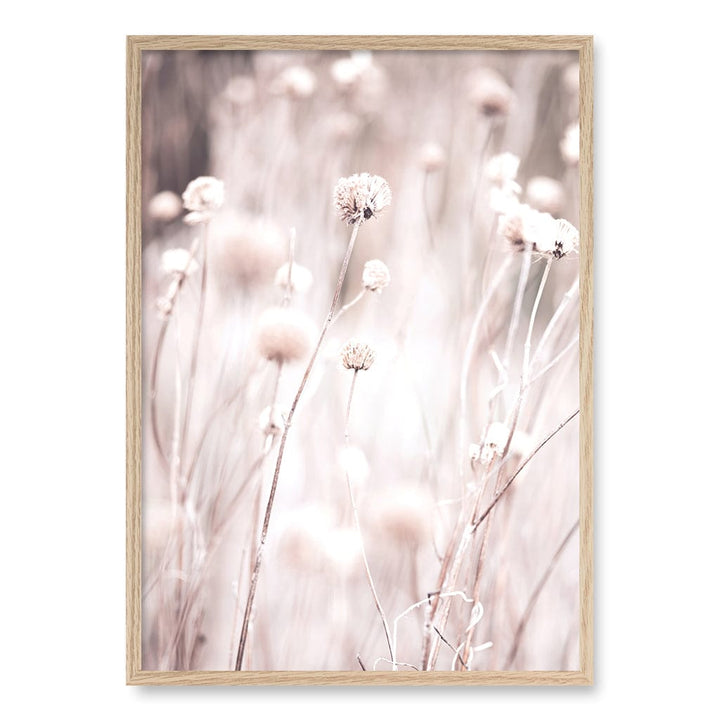 Soft Tone Grass Wall Art Print A1 (59.4 x 84.1cm) / Natural Oak Frame / No Border from our Australian Made Framed Wall Art, Prints & Posters collection by Profile Products (Australia) Pty Ltd