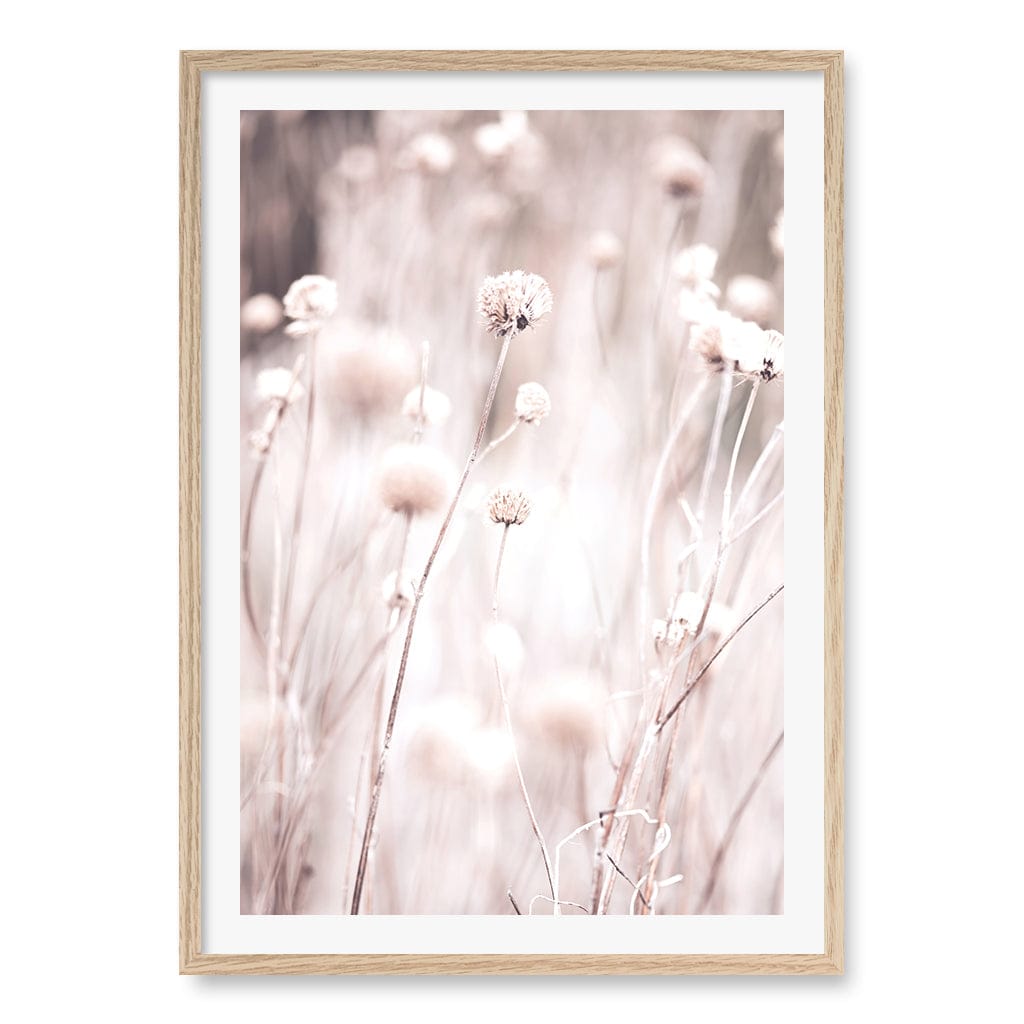 Soft Tone Grass Wall Art Print A1 (59.4 x 84.1cm) / Natural Oak Frame / White Border from our Australian Made Framed Wall Art, Prints & Posters collection by Profile Products (Australia) Pty Ltd