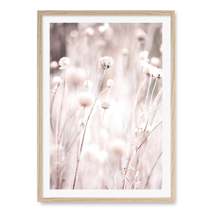 Soft Tone Grass Wall Art Print A1 (59.4 x 84.1cm) / Natural Oak Frame / White Border from our Australian Made Framed Wall Art, Prints & Posters collection by Profile Products (Australia) Pty Ltd