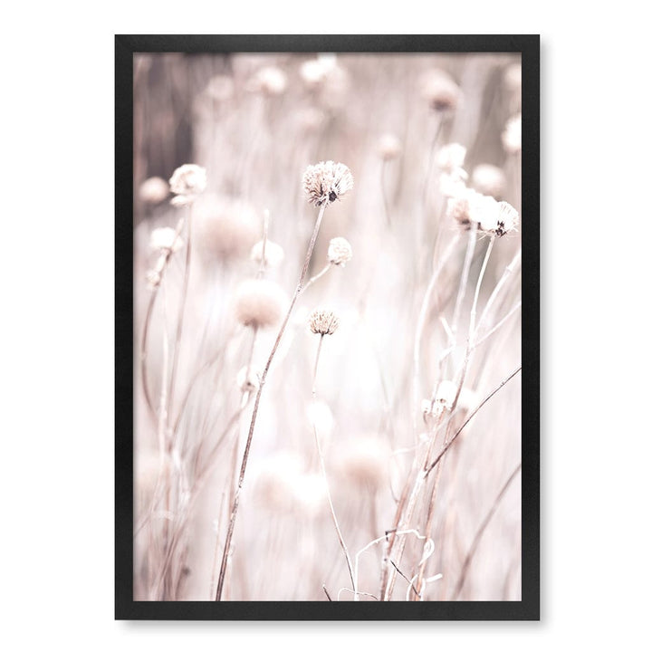 Soft Tone Grass Wall Art Print A2 (42 x 59.4cm) / Matte Black Frame / No Border from our Australian Made Framed Wall Art, Prints & Posters collection by Profile Products (Australia) Pty Ltd