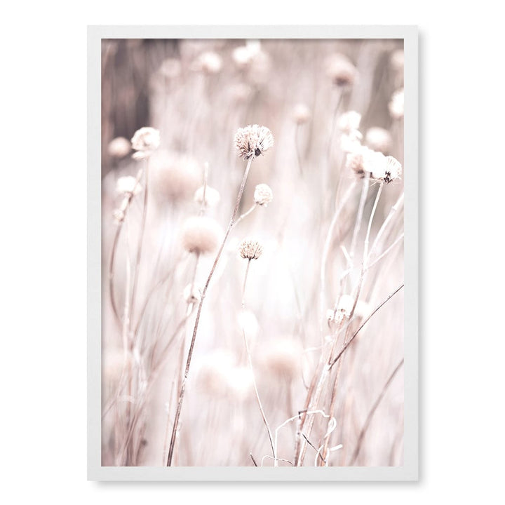 Soft Tone Grass Wall Art Print A2 (42 x 59.4cm) / Matte White Frame / No Border from our Australian Made Framed Wall Art, Prints & Posters collection by Profile Products (Australia) Pty Ltd
