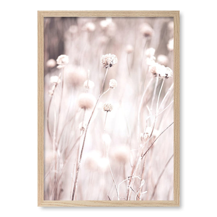 Soft Tone Grass Wall Art Print A2 (42 x 59.4cm) / Natural Oak Frame / No Border from our Australian Made Framed Wall Art, Prints & Posters collection by Profile Products (Australia) Pty Ltd