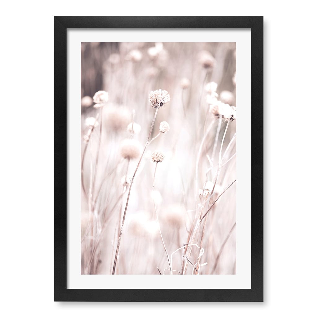 Soft Tone Grass Wall Art Print A3 (29.7 x 42cm) / Matte Black Frame / White Border from our Australian Made Framed Wall Art, Prints & Posters collection by Profile Products (Australia) Pty Ltd