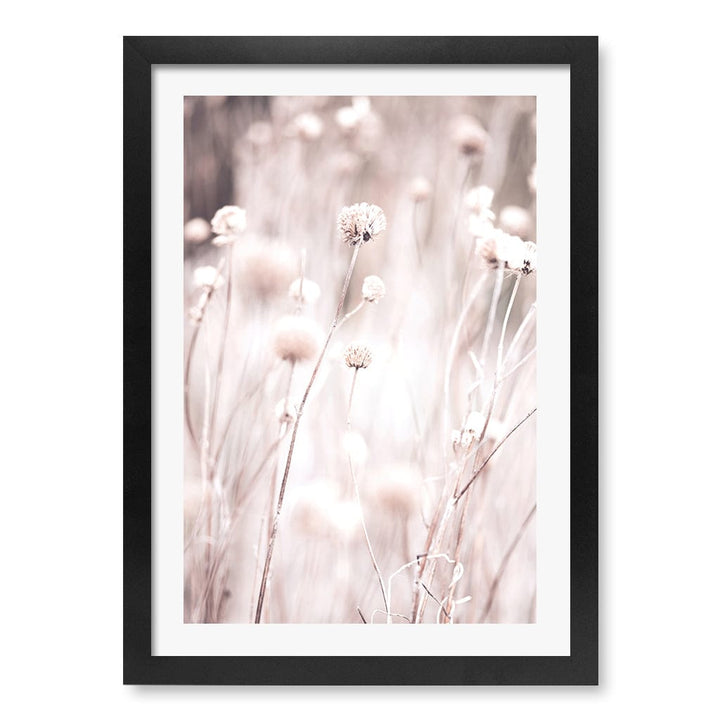 Soft Tone Grass Wall Art Print A3 (29.7 x 42cm) / Matte Black Frame / White Border from our Australian Made Framed Wall Art, Prints & Posters collection by Profile Products (Australia) Pty Ltd