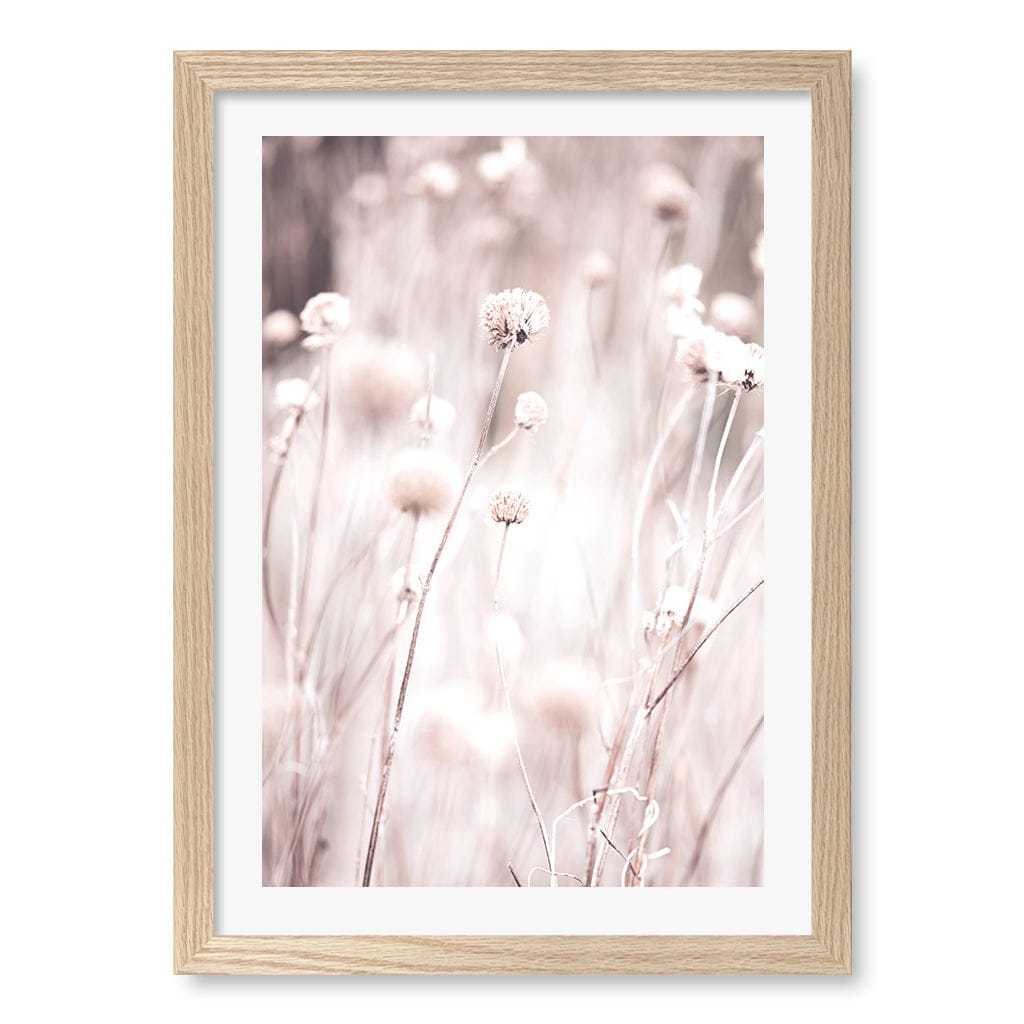 Soft Tone Grass Wall Art Print A3 (29.7 x 42cm) / Natural Oak Frame / White Border from our Australian Made Framed Wall Art, Prints & Posters collection by Profile Products (Australia) Pty Ltd