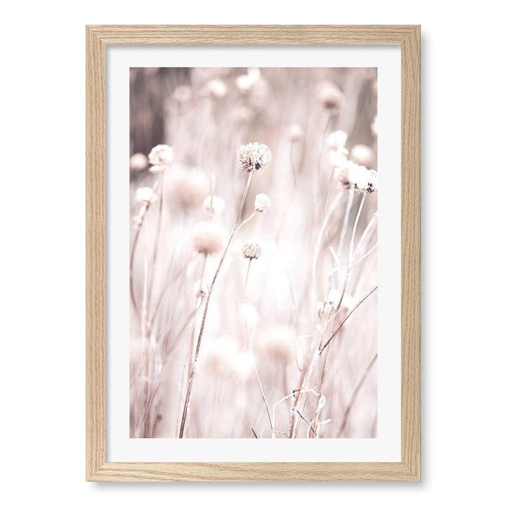 Soft Tone Grass Wall Art Print A3 (29.7 x 42cm) / Natural Oak Frame / White Border from our Australian Made Framed Wall Art, Prints & Posters collection by Profile Products (Australia) Pty Ltd