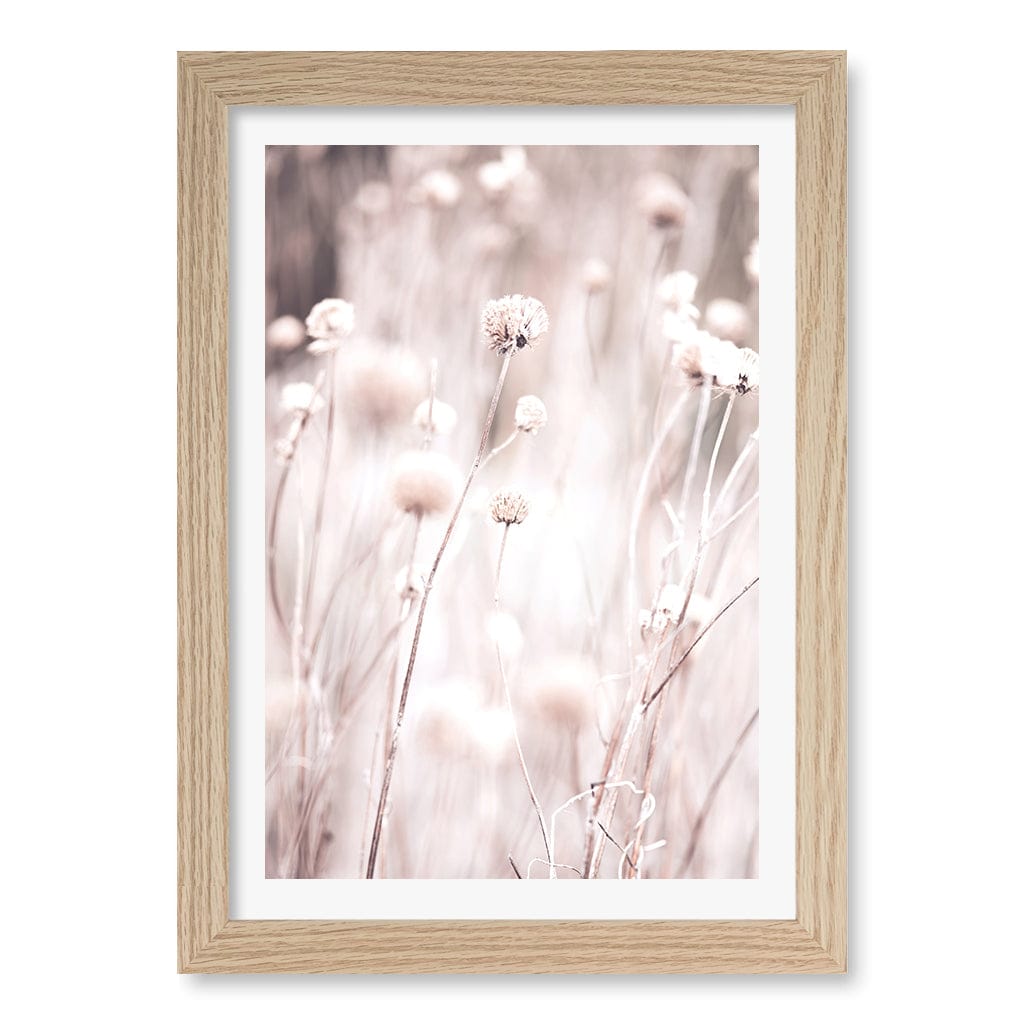 Soft Tone Grass Wall Art Print A4 (21 x 29.7cm) / Natural Oak Frame / White Border from our Australian Made Framed Wall Art, Prints & Posters collection by Profile Products (Australia) Pty Ltd