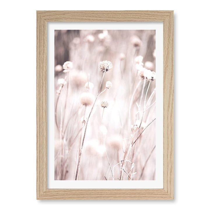 Soft Tone Grass Wall Art Print A4 (21 x 29.7cm) / Natural Oak Frame / White Border from our Australian Made Framed Wall Art, Prints & Posters collection by Profile Products (Australia) Pty Ltd