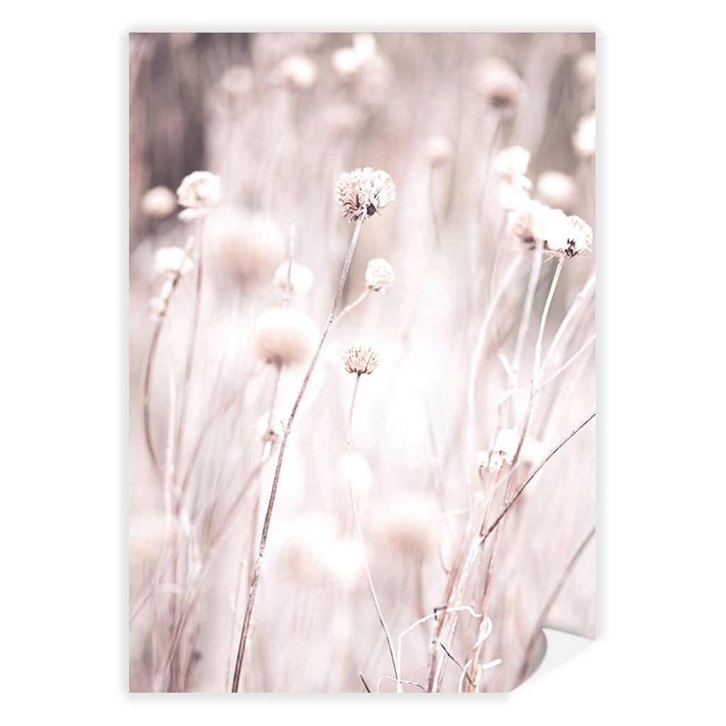 Soft Tone Grass Wall Art Print A4 (21 x 29.7cm) / Print Only / No Border from our Australian Made Framed Wall Art, Prints & Posters collection by Profile Products (Australia) Pty Ltd