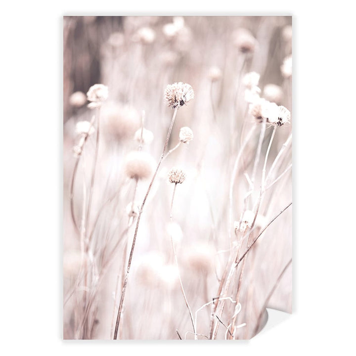 Soft Tone Grass Wall Art Print A4 (21 x 29.7cm) / Print Only / No Border from our Australian Made Framed Wall Art, Prints & Posters collection by Profile Products (Australia) Pty Ltd