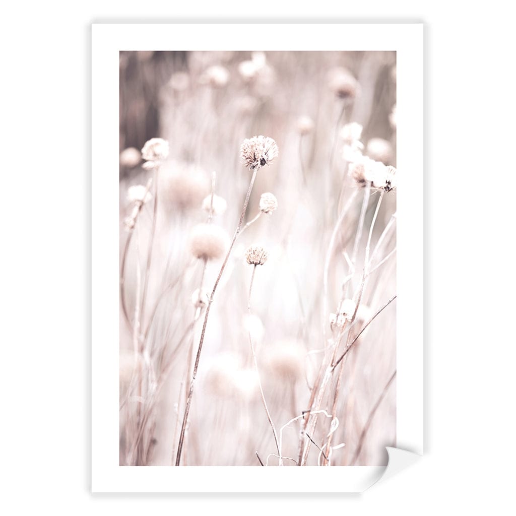 Soft Tone Grass Wall Art Print A4 (21 x 29.7cm) / Print Only / White Border from our Australian Made Framed Wall Art, Prints & Posters collection by Profile Products (Australia) Pty Ltd