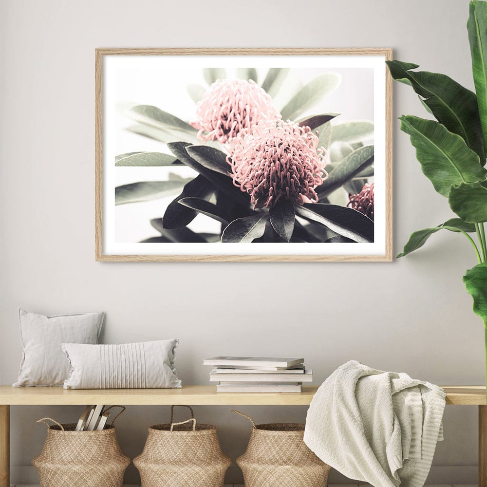 Waratah Flowers Wall Art Print from our Australian Made Framed Wall Art, Prints & Posters collection by Profile Australia