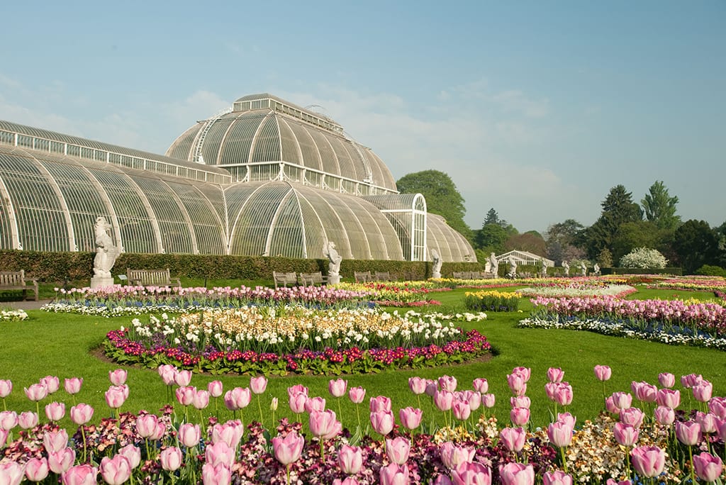 royal kew gardens