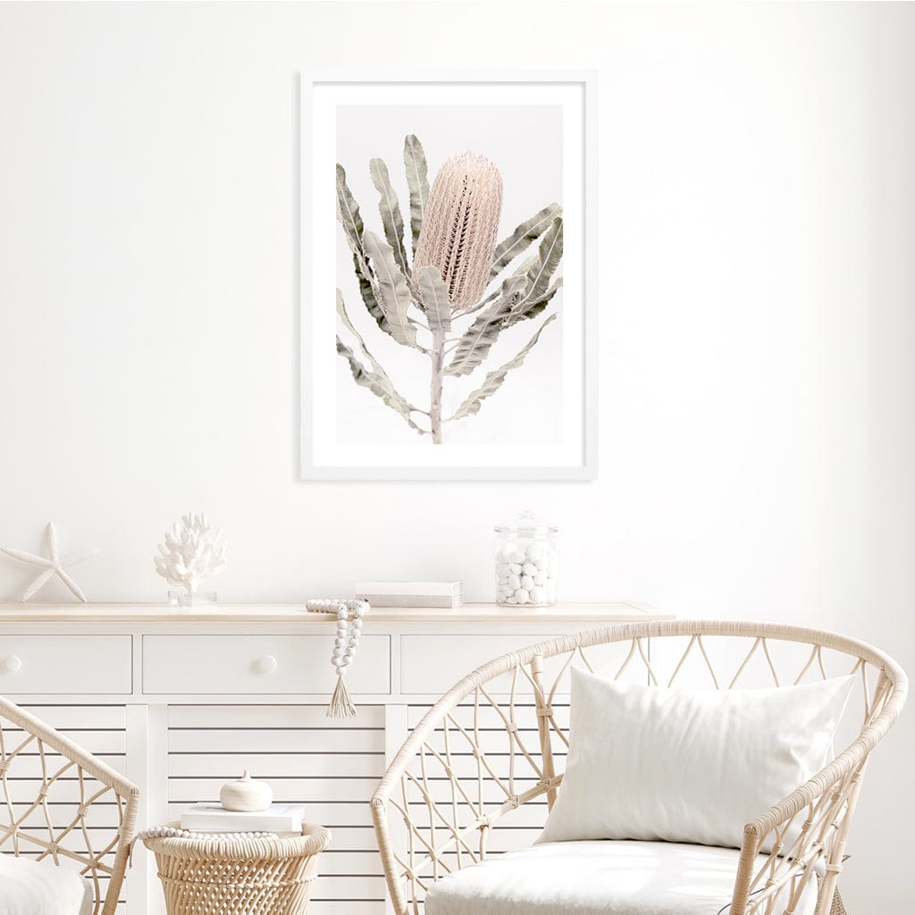 Banksia Flower Wall Art Print from our Australian Made Framed Wall Art, Prints & Posters collection by Profile Products Australia