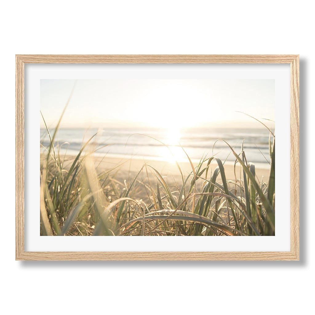 Beach Grass Sunset Wall Art Print from our Australian Made Framed Wall Art, Prints & Posters collection by Profile Products Australia